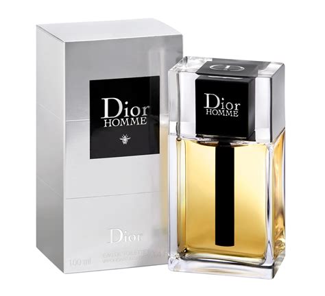 dior homme 2020 recensioni|dior homme original for men.